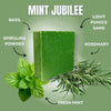 Lathr BAR SOAP Mint Jubilee (NEW)