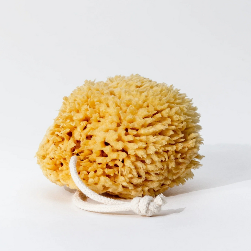 All Natural Sea Sponge