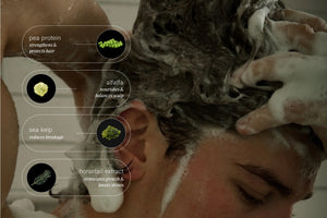 jack henry shampoo (new)