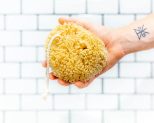 All Natural Sea Sponge